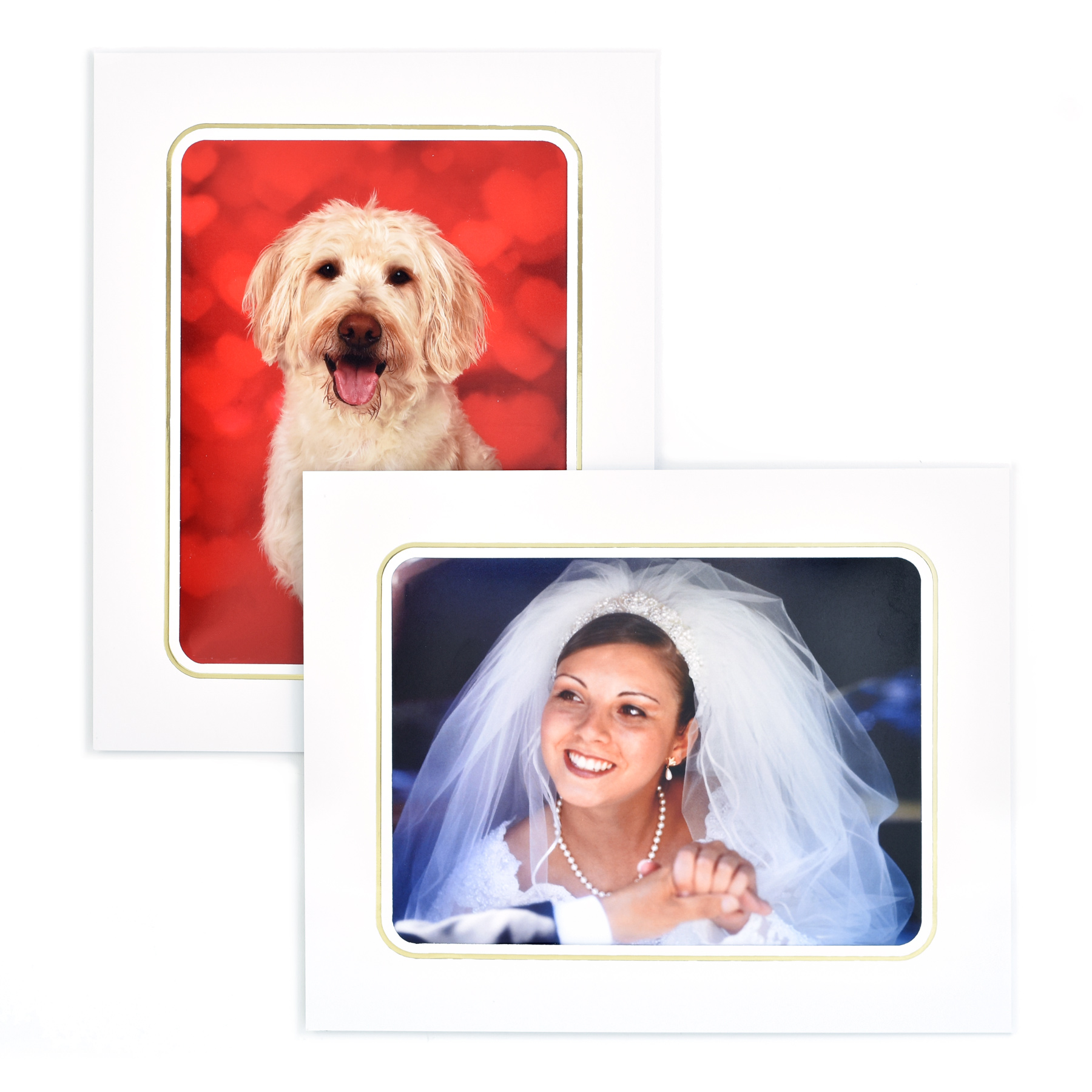 Coniston Bright White Photo Strut Mounts Maple Framing