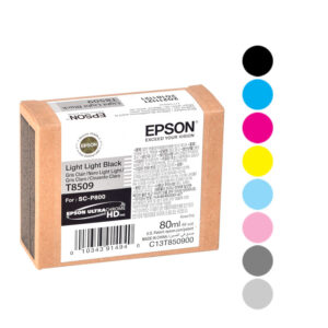 Epson Cartridges P800
