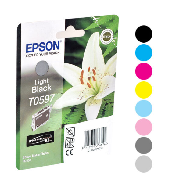 Epson Cartridges R2400