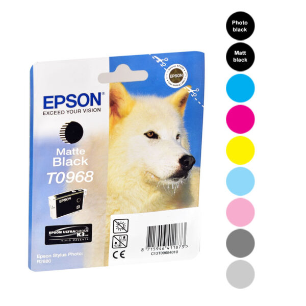Epson Cartridges R2880