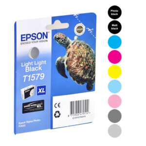 Epson Cartridges R3000