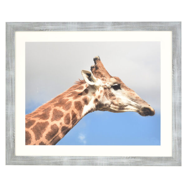 Francesca grey wood frame with mount