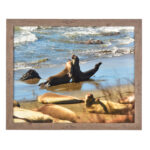 Francesca mid wood frame without mount