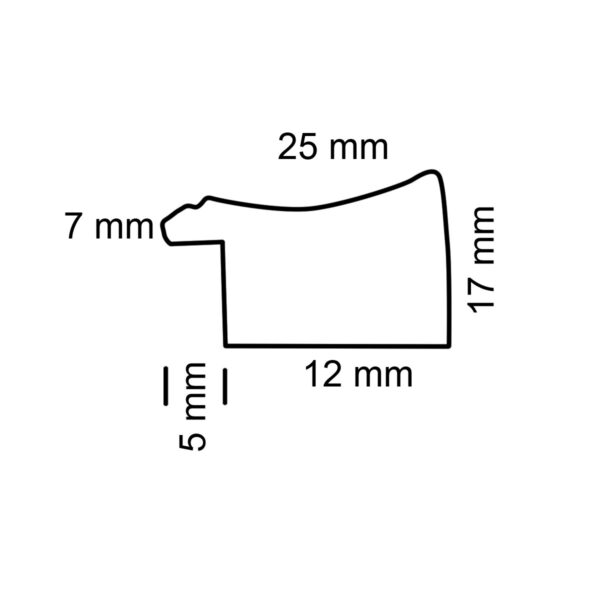 Fraya 25 dimensions