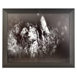 Freestyle black picture frame without mount