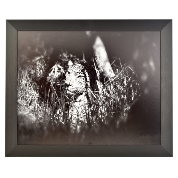 Freestyle black picture frame without mount