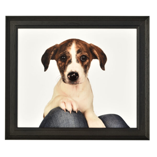 Fallon 30 Black frame without mount