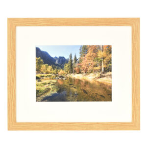 Freedom light wood frame