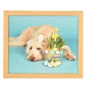 Freedom light wood frame