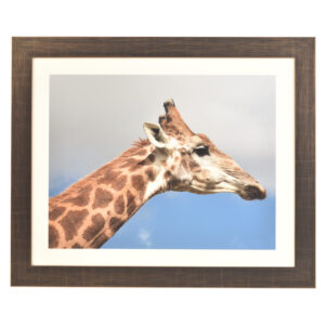 Freestyle bronze picture frame with mount