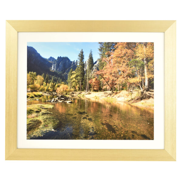Freestyle light gold picture frame with mount