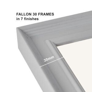 Fallon 30 Frames