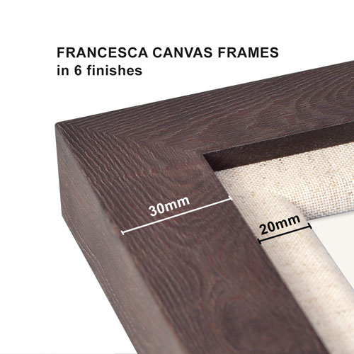 Francesca Canvas frames in 6 finishes