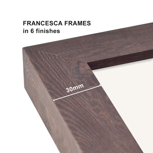 Francesca frames in 6 finishes