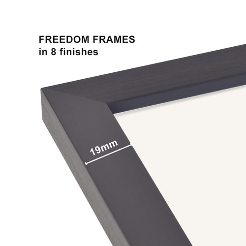 Freedom frames in 8 finishes