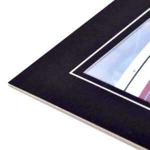 Sapphire Matt Black and Silver Strut Mount