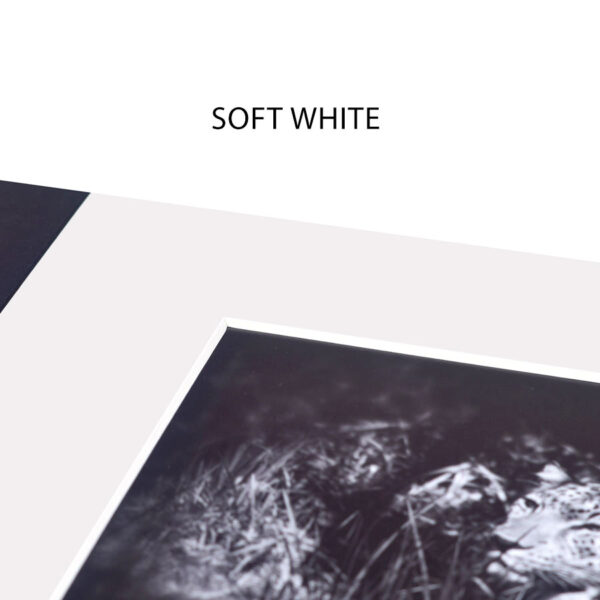 Haven Soft White Bevelled Slip-in Folder