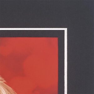 Photographer's Choice - Black and Silver Strut Mount