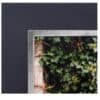 Photographer's Choice - Black and Thick Silver Line Strut Mount