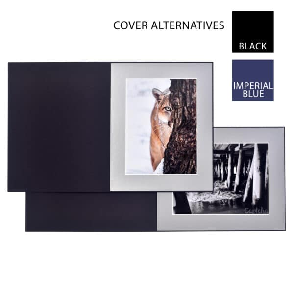 Haven Metallic Silver Slip-in Folder