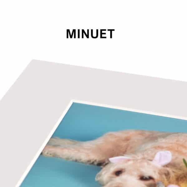 Haven Bevel Cut 20" x 16" Competition Mounts with Back - Image 4