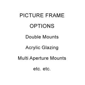 Picture Frame Options